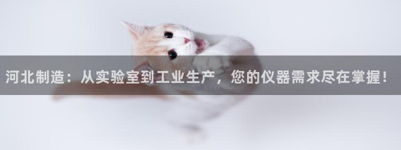 星欧娱乐下载官网：河北制造：从实验室到工业生产，您的仪器需求