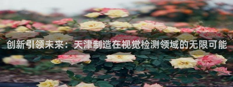 星欧娱乐还能玩吗：创新引领未来：天津制造在视觉检测领域的无限