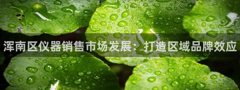 欧星在线娱乐：浑南区仪器销售市场发展：打造区域品牌效应