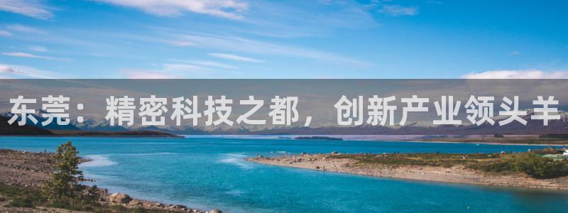 欧星国际娱乐：东莞：精密科技之都，创新产业领头羊