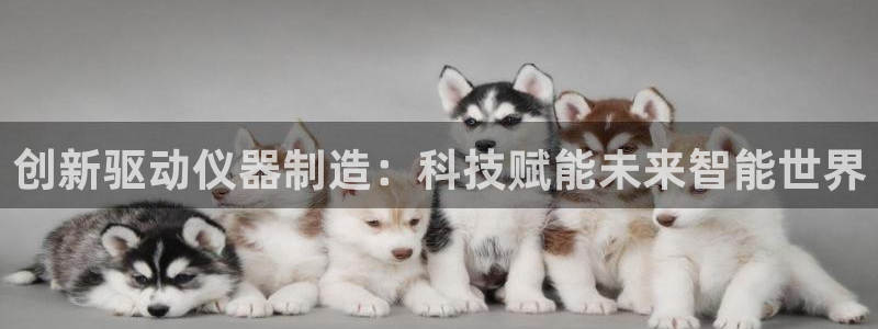 欧星娱乐平台：创新驱动仪器制造：科技赋能未来智能世界