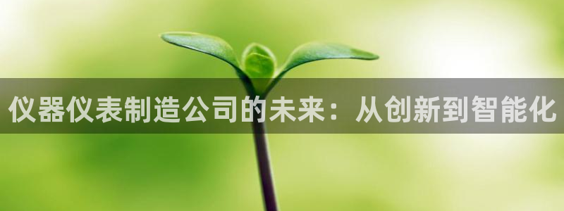 乌鲁木齐欧乐星城娱乐：仪器仪表制造公司的未来：从创新到智能化