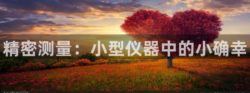 星欧娱乐606251：精密测量：小型仪器中的小确幸